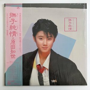 LP/ 原田知世 / 撫子純情 / 国内盤 帯・ライナー クリアバイナル KADOKAWA 18AH-2002 30614