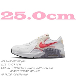 NIKE AIR MAX EXCEE (GS) CD6894-119 エア マックス エクシー 25.0cm