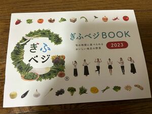 2023年ぎふベジBOOK です