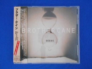 CD/BROTHER CANE ブラザー・ケイン/SEEDS シーズ/中古/cd21212