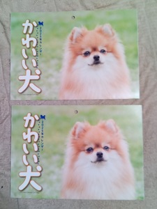 送料無料★すぐ発送します!【在庫限り！早い者勝ち！いぬ B3 2冊 壁掛けカレンダー 2025年 52x36㎝】柴犬 犬 ドック 令和7年 こよみ 暦 
