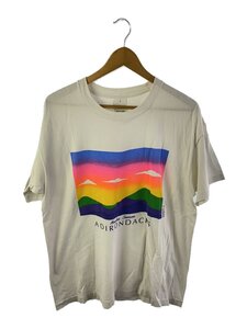 ANVIL◆90s/1992/ADIRONDACKS/アートT/ハンドシルクプリントTシャツ/XL/コットン/WHT