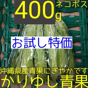 〈お試し特価〉沖縄県産 うりずん豆（琉球四角豆）約400g 【ネコポス】⑬