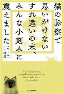 猫の診察で思いがけないすれ違いの末、みんな小刻みに震えました/やーこ(著者),栖周(イラスト)