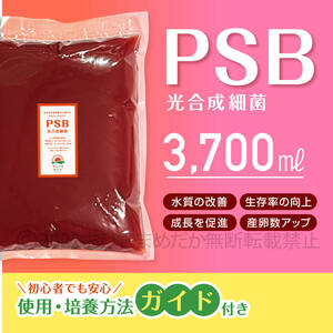 ★PSB　光合成細菌　3700ml　送料無料★　メダカ　めだか　クロレラ　金魚　熱帯魚　ミジンコ　ゾウリムシ　ミドリムシ　培養ガイドあり