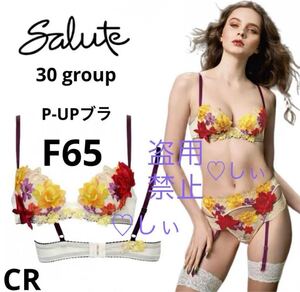 新品フルタグ付 Salute サルート 30G P-UPブラ F65 CR 黄色 赤 ゴールド 今季 今期