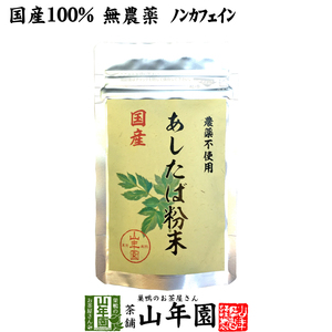 健康茶 国産100% 無農薬 明日葉粉末 30g 伊豆諸島で採れた明日葉パウダー ノンカフェイン 送料無料