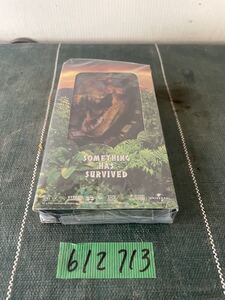 ★VHS lost world 保管品中古★