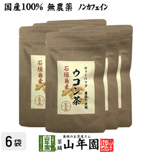 健康茶 国産100% 無農薬 ウコン茶 1.5g×10包×6袋セット ティーバッグ 長野県産 送料無料