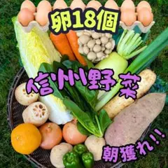 朝採れ！ 野菜 果物 の詰め合わせとでかたまご18個 野菜セット #m