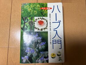 西東社 ハーブ入門1998年発行 中古本