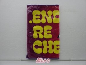 KinKi Kids 堂本剛 タオル .ENDRECHERI. LIVE TOUR 2024「RE」 フェイスタオル 未開封 [美品]