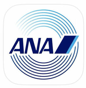 ANA 17100マイル クレカOK 希望口座に加算