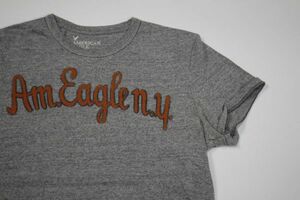 【古着美品アメリカンイーグルアウトフィッターズ刺繍ロゴTシャツ灰色M】AMERICANEAGLE OUTFITTERSニューヨークアメカジ