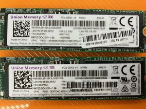 Union Memory m.2 2280 PCIe NVMe 256GB SSD 2個SET 97992