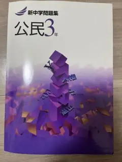 新中学問題集　公民