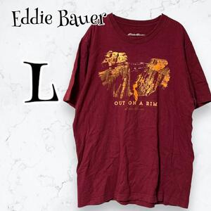 【Eddie Bauer】エディーバウアー 半袖Tシャツ(L)ビックプリント