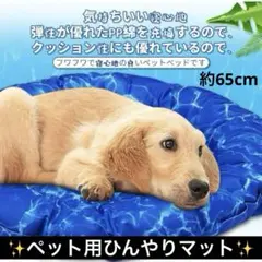 ✨未使用✨犬猫ペット用 ひんやりマット クールマット 涼感マット　外径約65cm