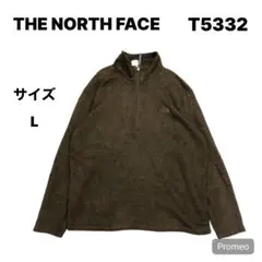 【即購入OK】THE NORTH FACE ハーフジップフリース サイズL