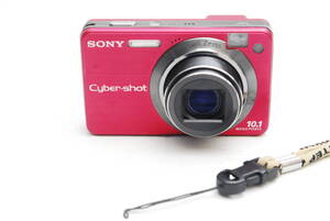 SONY CyberShot 10.1 MEGAPIXELS DSC-W170 (良品） 12-18-03