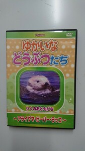 ゆかいなどうぶつたち ～アライグマ・ビーバー・ラッコ～ DVD