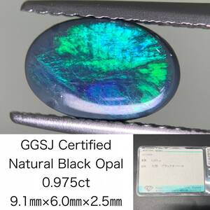 ブラックオパール 0.975ct 宝石ソーティング付き 9.1×6.0×2.5 ルース（ 裸石 ） 2845Y