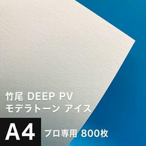 竹尾 DEEP PV モデラトーン アイス A4サイズ：800枚 竹尾 紙 絵画紙 水彩紙 印刷紙 写真印刷用紙 インクジェット用紙