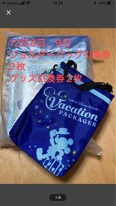 合計4枚　バケーションパッケージ 12月8日、9日　ショルダーバッグ2枚、グッズ引換券2枚、ディズニー 