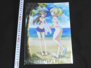 未開封 非売品 ラブライブ! 電撃屋 絢瀬絵里 南ことり A4 クリアファイル フィギュア 予約特典 0