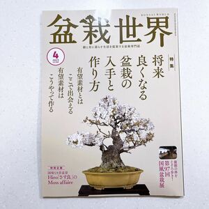 盆栽世界 2023年4 月号 将来良くなる盆栽の入手と作り方【22】