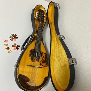 マンドリン Mandolin 石川 捷二郎 Shojiro Ishikawa イシカワ 弦 楽器 専用 ハードケース ピック 付1982年 No 110 Music Instrument