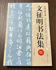 中国書画大系列【文明書道集】