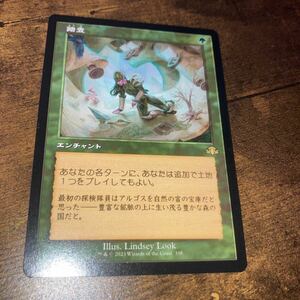 踏査　旧枠　ギャザリング mtgドミナリア　リマスター 