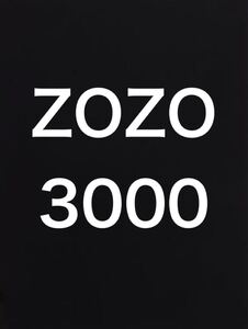 ZOZOポイント　ゾゾポイント　3000 egift ポイント