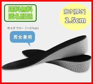 シークレットインソール 2.5cm 中敷き 衝撃吸収 抗菌 防臭 低反発 上げ底 シューズ ブーツ インヒール 足長効果 厚底 身長アップ UP y0ng