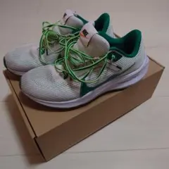 NIKE エアズームペガサス40