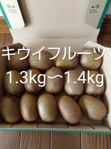 キウイフルーツ 梱包資材込み1300g〜1400g 農薬不使用