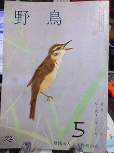 野鳥 332号　今月の鳥・ノゴマ　この比類なき自然の伝唱者・中村幸雄氏逝く　テレビに登場した外国産の鳥15種　ノグチゲラの育雛　