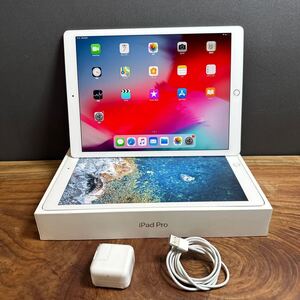 新品同様/Apple iPad Pro 12.9inch (2世代)/ 64GB/Wi-Fi +SIMフリー /cellular 利用制限無し/バッテリー98.2%/極美品/元箱付き(NA01)