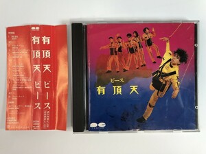 TG443 有頂天 / ピース 【CD】 209