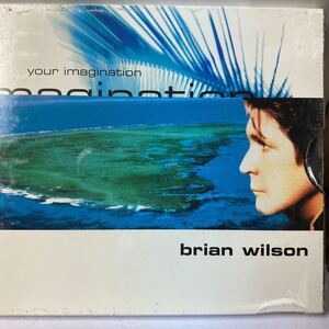 海外 未開封新品 特殊ケース仕様 廃盤CD アカペラ・ヴァージョン収録★BRIAN WILSON/YOUR IMAGINATION ビーチ・ボーイズ