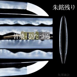 【厳選】【返品可】　別格の迫力　皆焼健全豪刀　身幅３３．８ｍｍ　刃渡６９.５ｃｍ　反り２.３ｃｍ　生ぶなかご朱銘残り兼氏兼門兼定　　