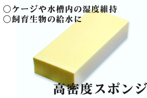 専用高密度スポンジ　※色おまかせ　1個　水槽　ケージ　湿度　給水　昆虫　爬虫類　小動物　両生類　蟻　アリ　