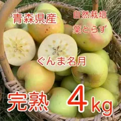 家庭用　りんご　自然栽培　完熟ぐんま名月　青森県産　　4kg