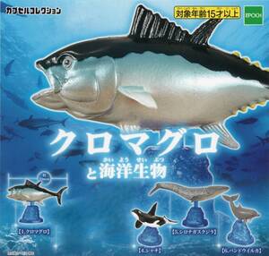 ▲-▼　(即決]　ガチャ　カプセルコレクション　クロマグロと海洋生物　( ４種セット )