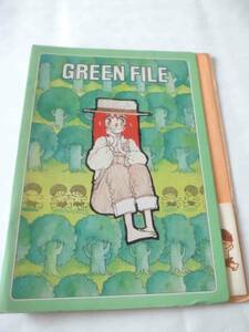 ★ファイル　田渕由美子　グリーンファイル　りぼん　GREEN FILE　付録　ふろく　昭和レトロ　昭和　りぼん付録　★★★