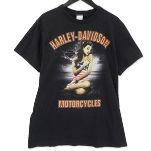 ヴィンテージ Tシャツ ハーレーダビッドソン HARLEY DAVIDSON BOSTON 2000年代 ダブルステッチ USA製 半袖 ブラック 黒 M 71009989