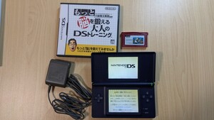 ニンテンドーDS Lite（Nintendo） 任天堂　大人の脳トレとスーパーマリオブラザーズ付き