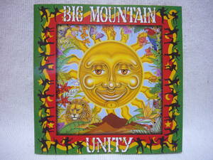 即落札 ／ ＢＩＧ ＭＯＵＮＴＡＩＮ ／ ＵＮＩＴＹ 国内盤・歌詞・訳詞付き