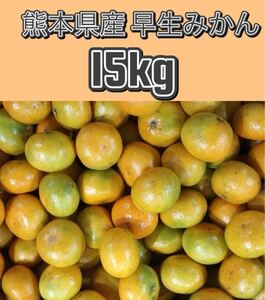 【送料無料◎】熊本県産 早生みかん 箱込約15kg 家庭用